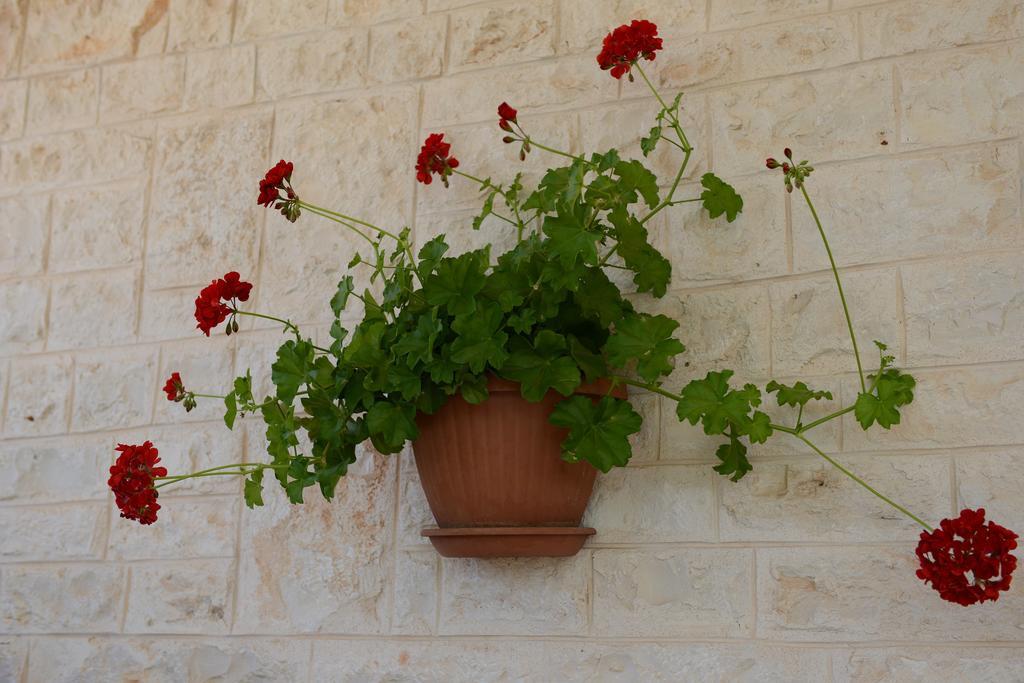 Trulli Dal Conte Apartment Locorotondo Exterior photo